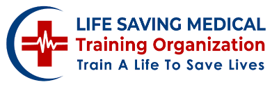 Health Solutions International Logo